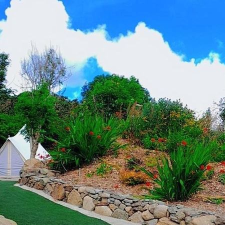 Fairy Cove At Rosemount Glamping Hotell Carlingford Eksteriør bilde