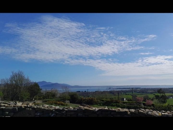 Fairy Cove At Rosemount Glamping Hotell Carlingford Eksteriør bilde