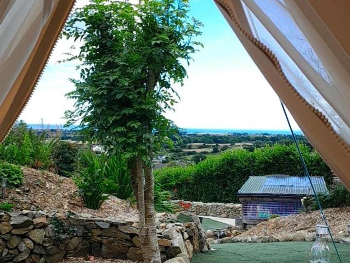 Fairy Cove At Rosemount Glamping Hotell Carlingford Eksteriør bilde