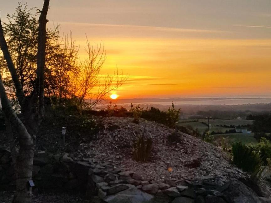 Fairy Cove At Rosemount Glamping Hotell Carlingford Eksteriør bilde