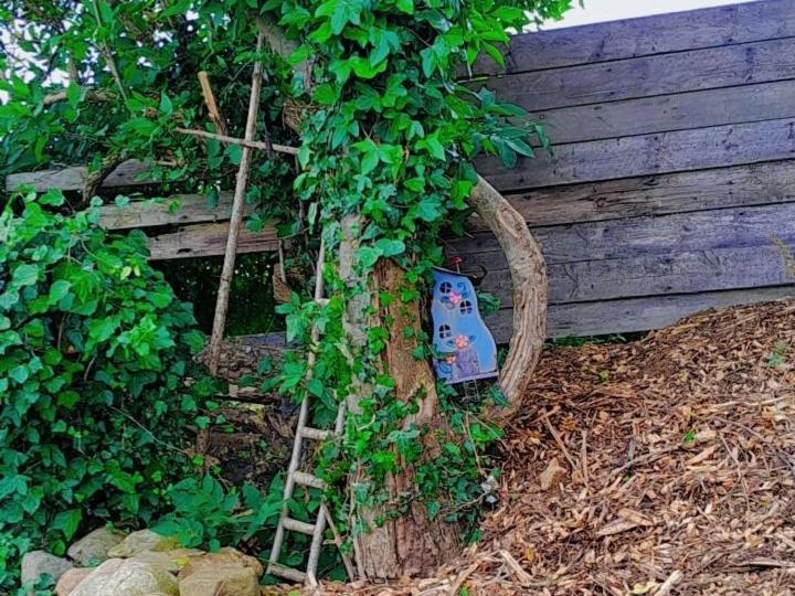 Fairy Cove At Rosemount Glamping Hotell Carlingford Eksteriør bilde
